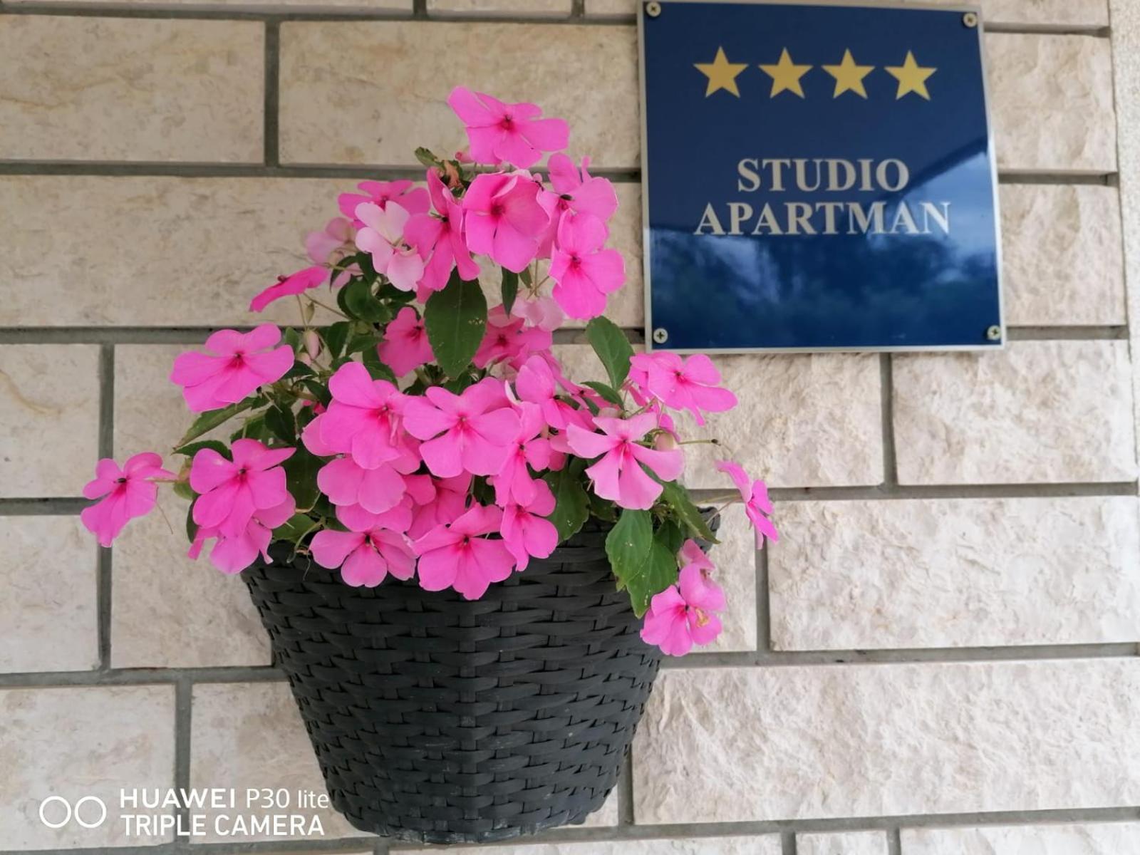 Apartment Borna Pazin Zewnętrze zdjęcie