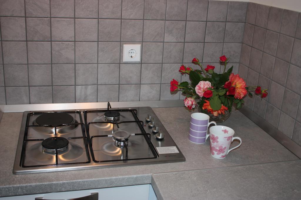 Apartment Borna Pazin Zewnętrze zdjęcie